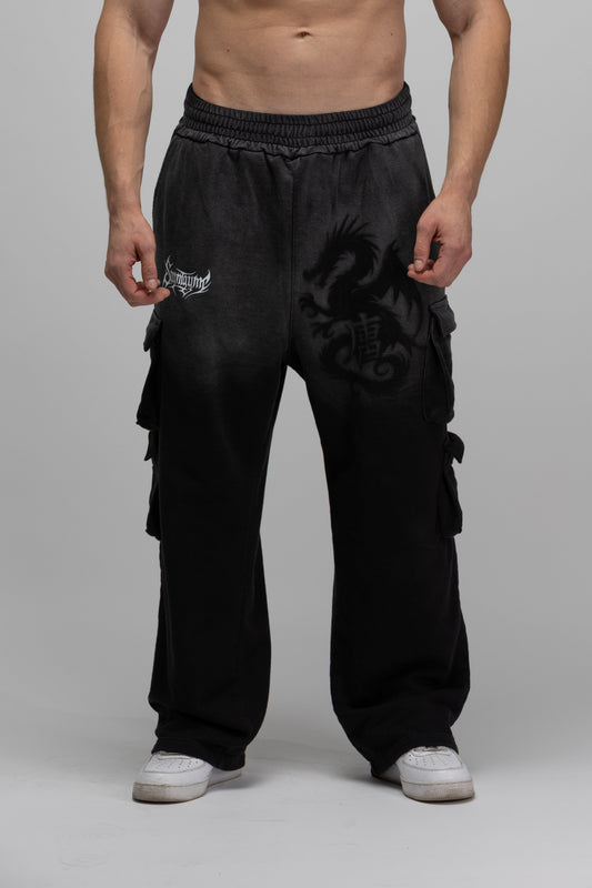 Dragon cargo pants